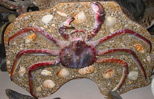 Fiberglass Replica of a Crab