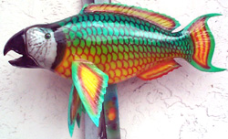 Green Parrot Fish